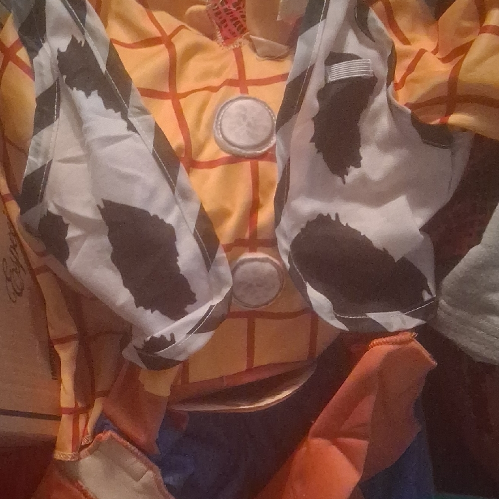 Cowboy Sheriff Kids Costume